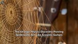 The Strange Physics Discovery Proving Spiderwebs Act Like Acoustic Guitars