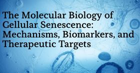 The Molecular Biology of Cellular Senescence: Mechanisms, Biomarkers, and Therapeutic Targets
