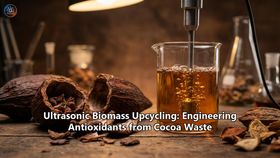 Ultrasonic Biomass Upcycling: Engineering Antioxidants from Cocoa Waste