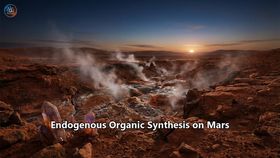 Endogenous Organic Synthesis on Mars