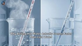 Why Boiling Hot Water Actually Freezes Faster Than Cold Water