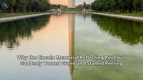 Why the Lincoln Memorial Reflecting Pool Just Suddenly Turned Green and Started Peeling