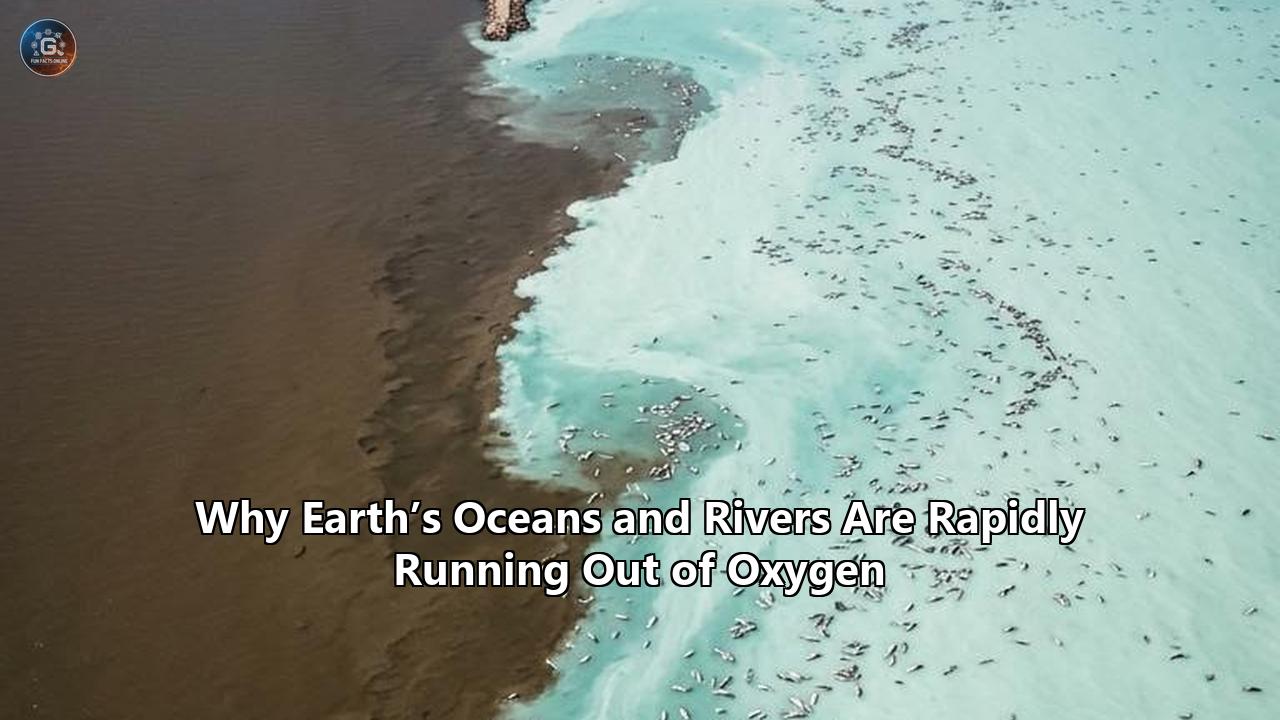 Why Earth’s Oceans and Rivers Are Rapidly Running Out of Oxygen