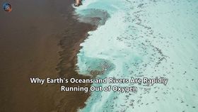 Why Earth’s Oceans and Rivers Are Rapidly Running Out of Oxygen