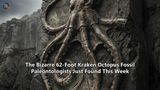 The Bizarre 62-Foot Kraken Octopus Fossil Paleontologists Just Found This Week