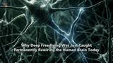 Why Deep Freediving Was Just Caught Permanently Rewiring the Human Brain Today