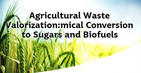Agricultural Waste Valorization: Biochemical Conversion to Sugars and Biofuels