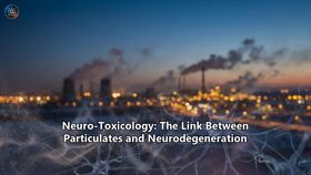 Neuro-Toxicology: The Link Between Particulates and Neurodegeneration