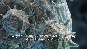 Why Your Body's Cells Were Actually Built by Giant Prehistoric Viruses