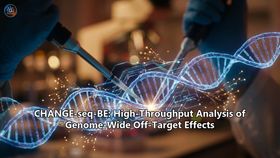 CHANGE-seq-BE: High-Throughput Analysis of Genome-Wide Off-Target Effects