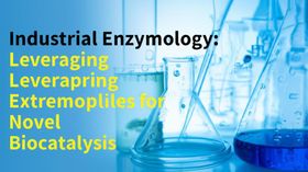 Industrial Enzymology: Leveraging Extremophiles for Novel Biocatalysis