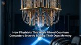 How Physicists This Week Filmed Quantum Computers Secretly Erasing Their Own Memory