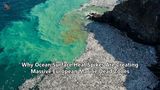 Why Ocean Surface Heat Spikes Are Creating Massive European Marine Dead Zones
