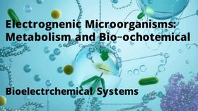 Electrogenic Microorganisms: Metabolism and Bioelectrochemical Systems