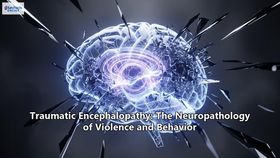 Traumatic Encephalopathy: The Neuropathology of Violence and Behavior