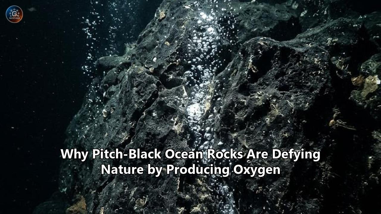 Why Pitch-Black Ocean Rocks Are Defying Nature by Producing Oxygen