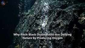 Why Pitch-Black Ocean Rocks Are Defying Nature by Producing Oxygen