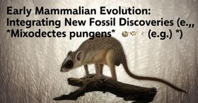 Early Mammalian Evolution: Integrating New Fossil Discoveries (e.g., *Mixodectes pungens*)