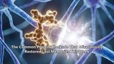 The Common Protein Blockade That Miraculously Restored Lost Memories This Week