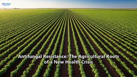 Antifungal Resistance: The Agricultural Roots of a New Health Crisis