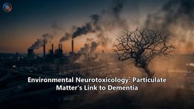 Environmental Neurotoxicology: Particulate Matter's Link to Dementia