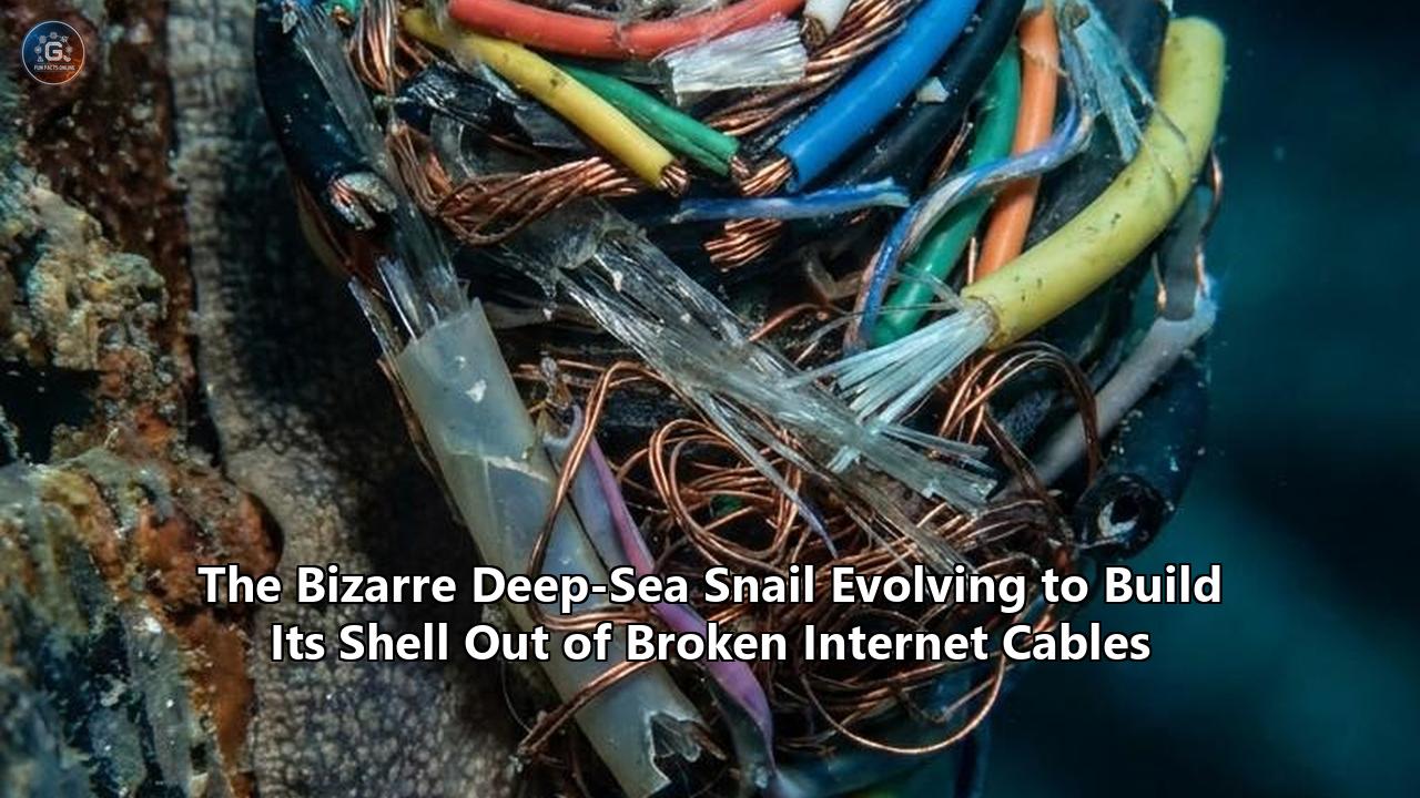 The Bizarre Deep-Sea Snail Evolving to Build Its Shell Out of Broken Internet Cables