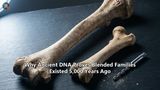 Why Ancient DNA Proves Blended Families Existed 5,000 Years Ago