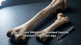 Why Ancient DNA Proves Blended Families Existed 5,000 Years Ago