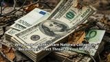 Why Central Banks Warn Nature's Collapse Is Becoming a Direct Threat to Your Money
