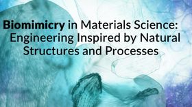 Biomimicry in Materials Science: Engineering Inspired by Natural Structures and Processes