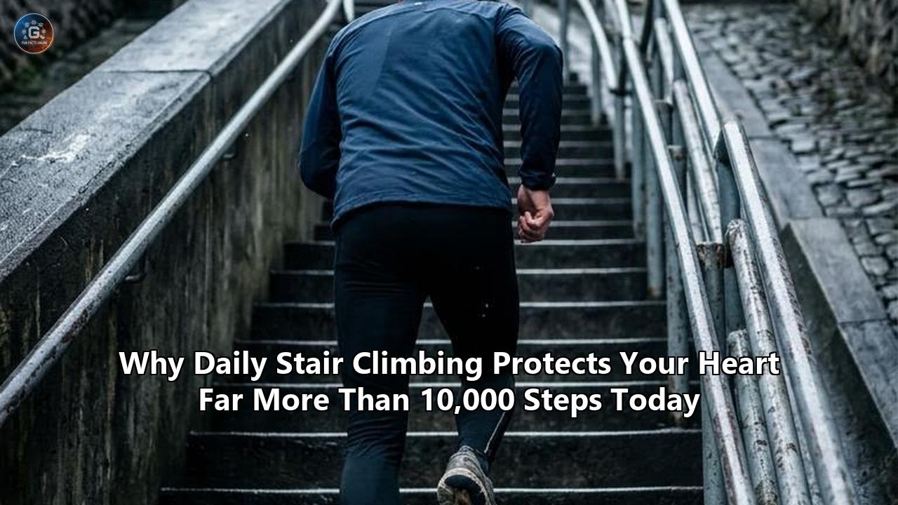 Why Daily Stair Climbing Protects Your Heart Far More Than 10,000 Steps Today