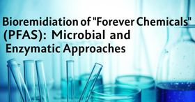 Bioremediation of "Forever Chemicals" (PFAS): Microbial and Enzymatic Approaches