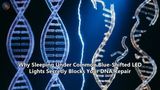 Why Sleeping Under Common Blue-Shifted LED Lights Secretly Blocks Your DNA Repair