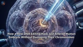 How a New DNA Editing Hack Just Altered Human Embryos Without Damaging Their Chromosomes