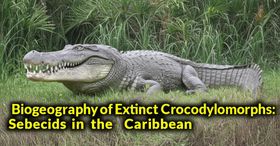 Biogeography of Extinct Crocodylomorphs: Sebecids in the Caribbean