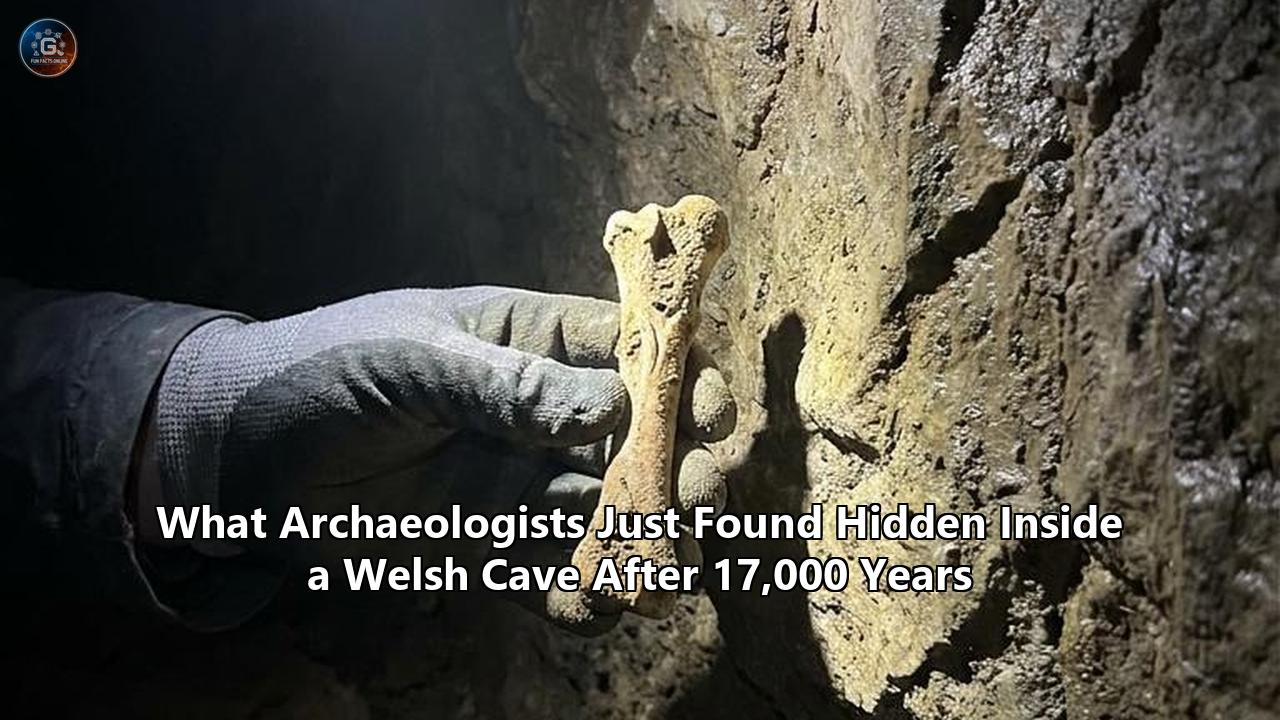 What Archaeologists Just Found Hidden Inside a Welsh Cave After 17,000 Years