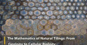 The Mathematics of Natural Tilings: From Geology to Cellular Biology