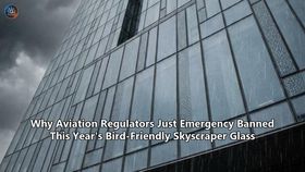 Why Aviation Regulators Just Emergency Banned This Year's Bird-Friendly Skyscraper Glass