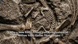 Why a New Fossil Proves Live Birth Evolved 90 Million Years Earlier Than Known