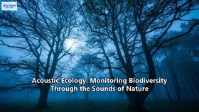 Acoustic Ecology: Monitoring Biodiversity Through the Sounds of Nature