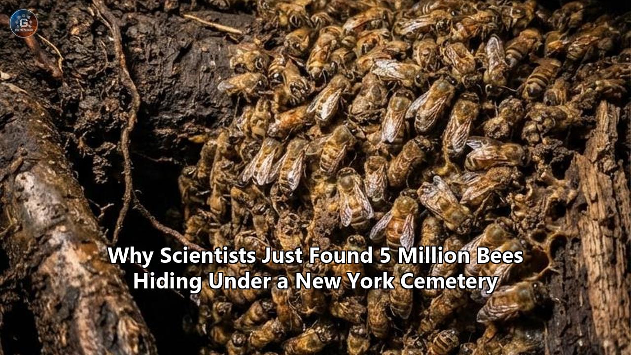 Why Scientists Just Found 5 Million Bees Hiding Under a New York Cemetery