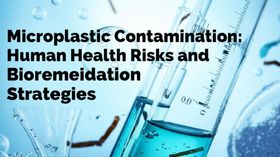 Microplastic Contamination: Human Health Risks and Bioremediation Strategies