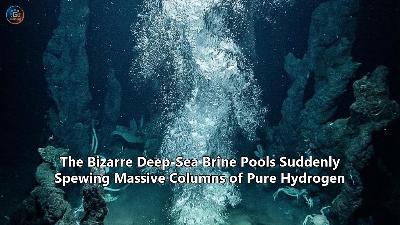 The Bizarre Deep-Sea Brine Pools Suddenly Spewing Massive Columns of Pure Hydrogen