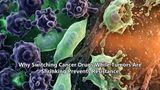 Why Switching Cancer Drugs While Tumors Are Shrinking Prevents Resistance