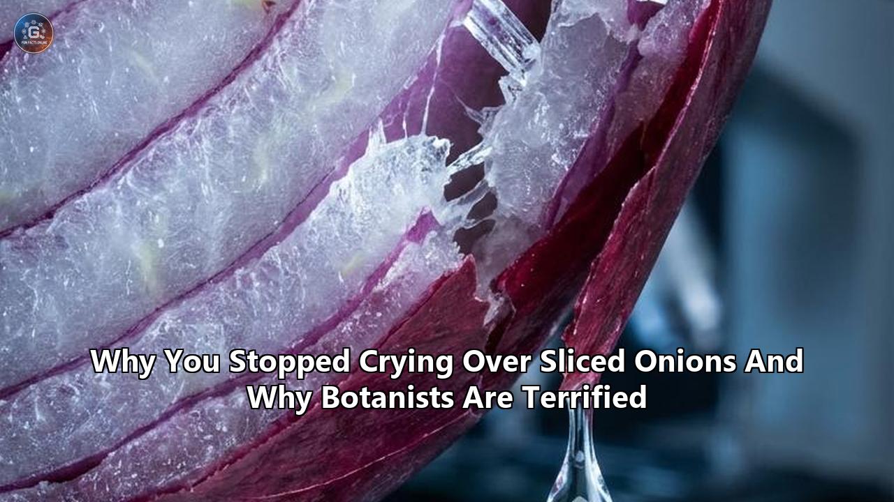 Why You Stopped Crying Over Sliced Onions And Why Botanists Are Terrified