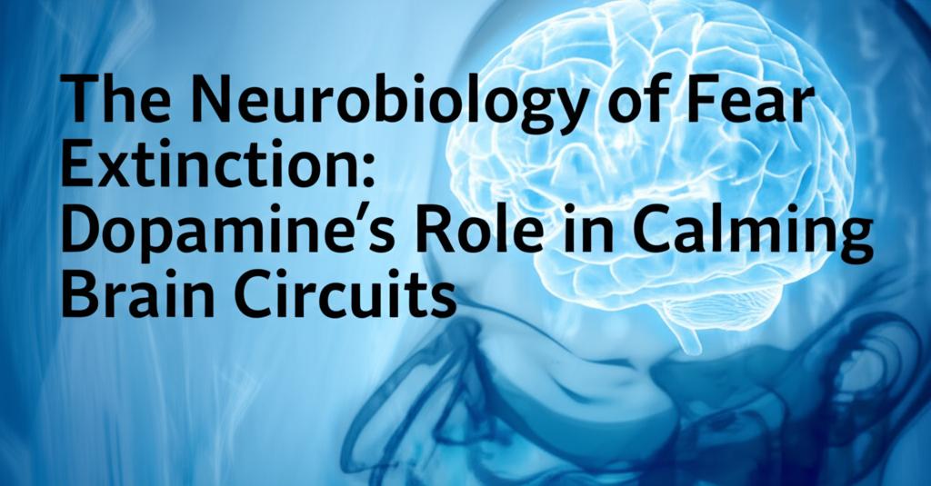 The Neurobiology of Fear Extinction: Dopamine's Role in Calming Brain Circuits
