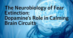 The Neurobiology of Fear Extinction: Dopamine's Role in Calming Brain Circuits