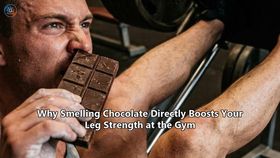 Why Smelling Chocolate Directly Boosts Your Leg Strength at the Gym