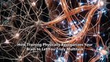 How Training Physically Reorganizes Your Brain to Let You Truly Multitask