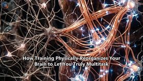 How Training Physically Reorganizes Your Brain to Let You Truly Multitask